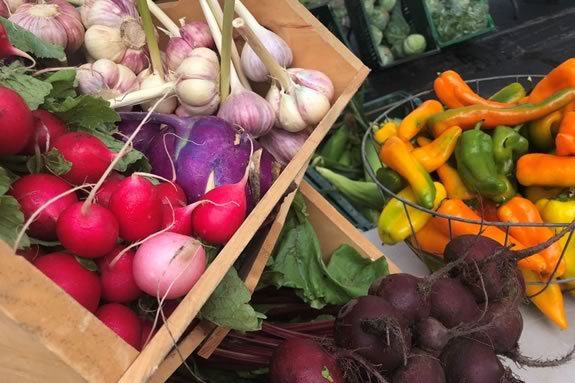 Find Fresh Local Produce at the Andover Massachusetts Farmers Market North of Boston