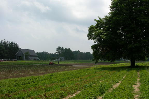 Appleton Farms in Ipswich, Ma is America’s oldest continuously operating farm.