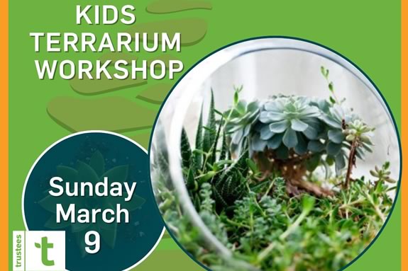 Kids Terrarium Workshop at the Trustees' Long Hill Gardens in Beverly Massachusetts