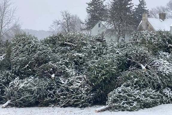 Come to Spencer-Pierce-Little Farm for an open house and Christams Tree Chipping Festival in Newbury Massachusetts!