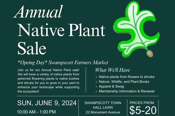 Come to the Swampscott Farmers Market opening day native plant salein Massachusetts