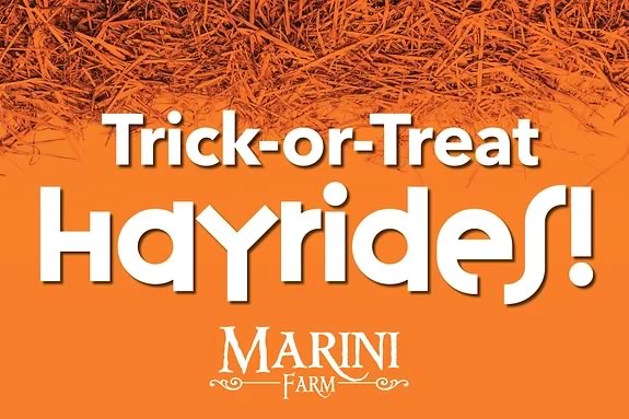 Trick or Treating by hayride at Marini Farm in Ipswich Massachusetts is Safe and Fun! 