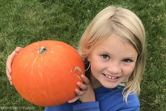 North Shore Kids' list of farms that offer 'Pick Your Own' pumpkins North of Boston Massachusetts