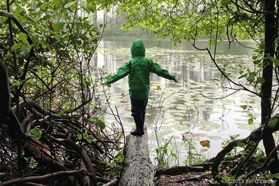 Have an adventure at Ipswich River Wildlife Sancatuary!