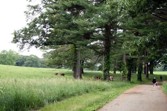 Explore The Trustees of Reservations Appleton Farms and learn about its rich history!