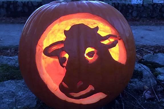 Kids can carve pumpkins at the Trustees Appleton Farms in Ipswich Massachusetts!