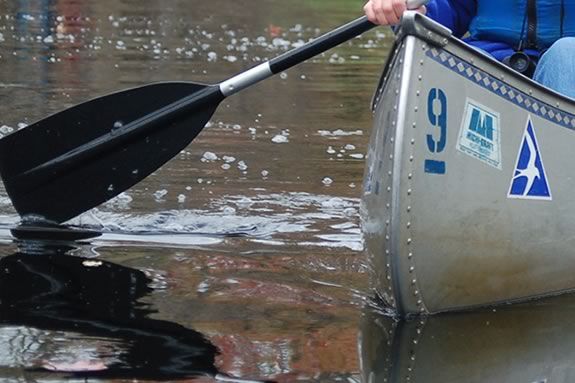 Come to Ipswich River Wildlife Sanctuary for an afternnon paddle & ice cream! 