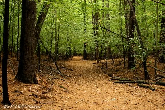 Join Mass Audubon naturalists on a hike at Ipswich River Wildlife Sanctuary in Topsfield!