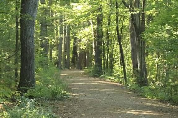Kids are invited to Breakheart Reservation for a short hike featuring a basic introduction to the forest.