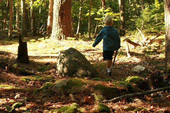 The Children's Rocky Woodland at Ravenswood Park is a kid friendly loop trail