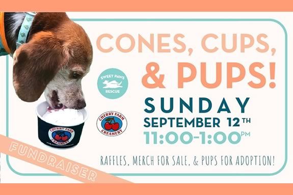 Cherry Farm Creamery in Danvers hosts a fundraiser for Sweet Paws Rescue 