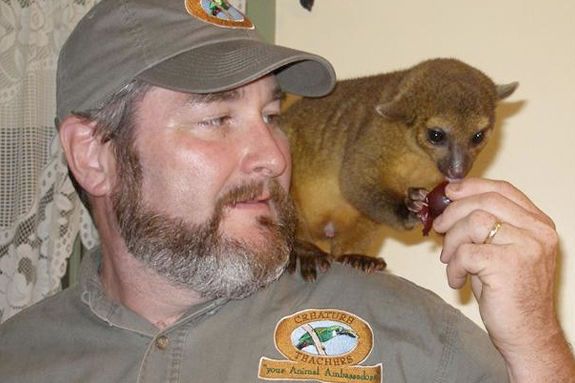 Live Australian Animals at the Sawyer Free Gloucester Library for North Shore Ch