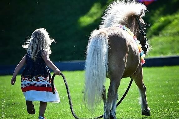 The Donkey Derby at Myopia Hunt Club in Hamilton is a fun way to raise funds for the equine rescue network!