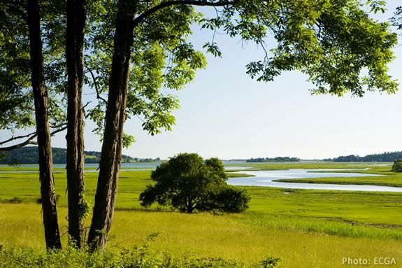 Take a paddle on the Essex River with the ECGA! 