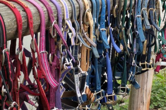 Essex County Trail Association Equine Gear Pre-winter sale