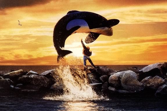 Watch Free Willy at the Parker River Wildlife Refuge in Newburyport