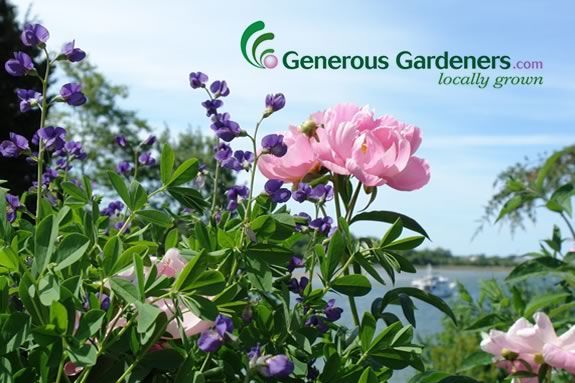 Generous Gardeners is having a plant sale just in time for the growing season in Gloucester Massachusetts!