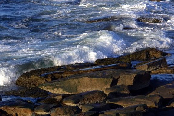 Hike the Atlantic Path from Halibut Point State Park to the Emerson Inn in Rockport Massachusetts! 