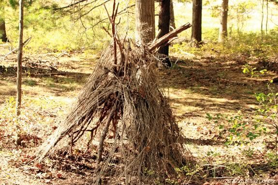 Teens will learnb wilderness survival skills in this session at Mass Audubon's I
