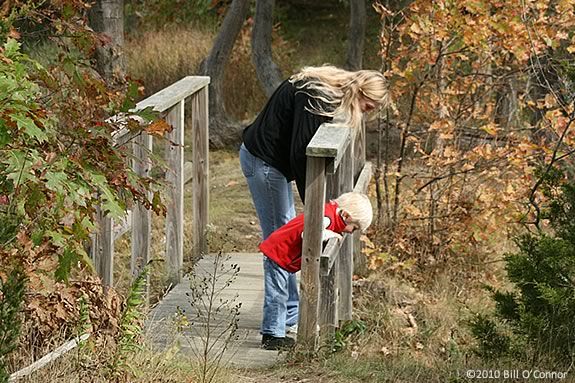 Join the Trustees of Reservations on a treasure hunt at Hamlin reservation in Ip