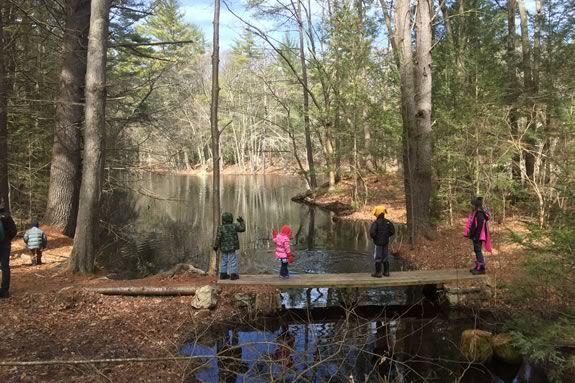 Walk the trails in a group at Harold Parker State Forest Every Wednesday at 10am