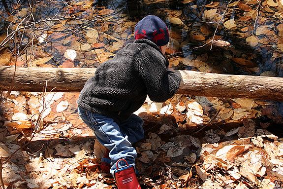 Kids will get a close-up look at creatures and bugs that live in IRWS wetlands.