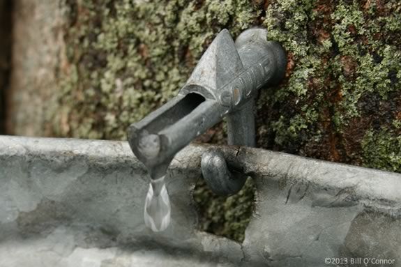 Come to Breakheart Reservation Saugus Massachusetts to learn about maple sugaring.