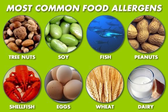 Learn about food allergies and less allergenic alternatives at CMNH
