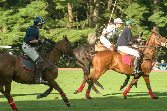 Polo at Myopia Hunt Club in Hamilton MA