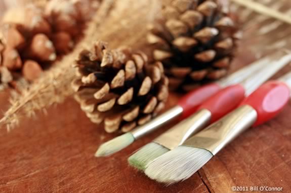 Kids will make squirrels and chipmunks out of rocks and pine cones at IRWS!