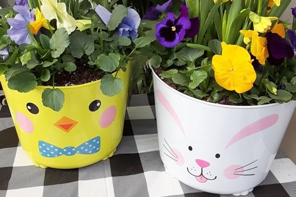 Kids can make their own spring planter basket at Nunan's Greenhouse and Nursery in Georgetown Massachusetts