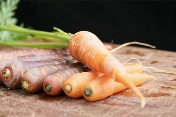 Come to Topsfield Massachusetts Common for a homegrown market on the Wednesdays through July