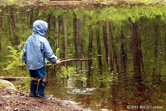 Come explore the pond habitat at Maudslay State Park in Newburyport! 