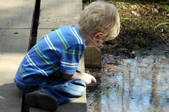 Explore the ponds of Woodsom Farm in Amesbury with Mass Audubon Joppa Flats Educators!