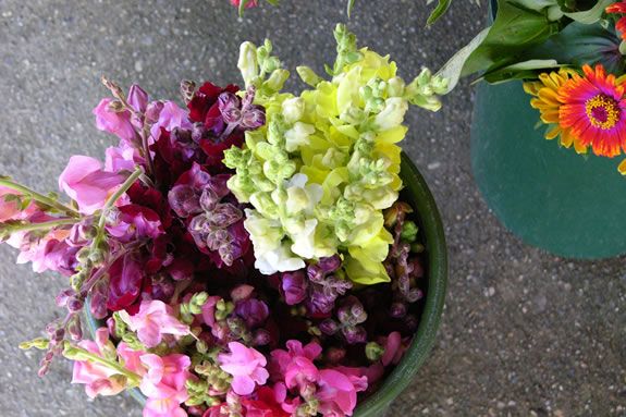 Long Hill invites children to come pick their own flower bouquet in their garden