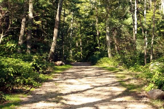  Join Trustees staff in conjunction with Waypoint Adventure for an inclusive hike around Ravenswood Reservation in Gloucester Massachusetts!