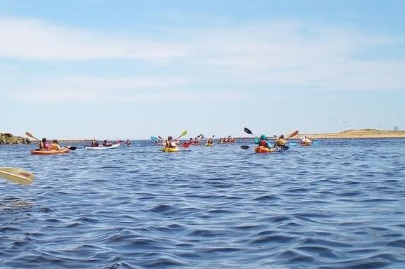 Yankee Homecoming Kayak & Paddle Board River Race. River kayakers.  Photo: Plum Island Kayak