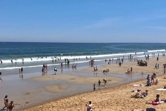 CoastSweep cleanup at Salisbury Beach Massachusetts