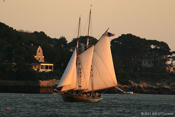 Enjoy a sunset sail with dad aboard the Schooner Thomas Lannon on Fathers Day!