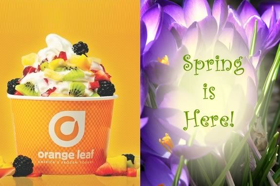 Have some frozen yogurt and stay for a story and craft session at Orange Leaf Fr