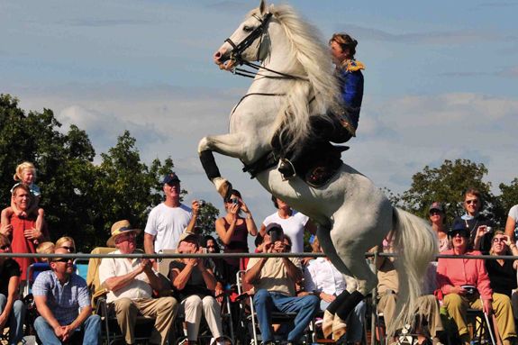 Herrmanns' Royal Lipizzan Stallions come to Cogswell's Grant in Essex massachusetts