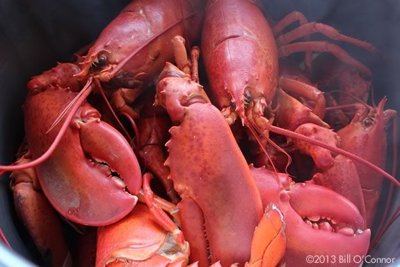 Enjoy lobster at the beach in Rockport Massachusetts at the annual Rotary Club lobsterfest!