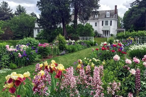 Pick Your Own Bouquet at the Trustees of Reservations Stevens-Coolidge Place