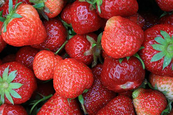 The Strawberry Festival at Russel Orchards features lots of fun and live music! Photo: ©Bill O'Connor