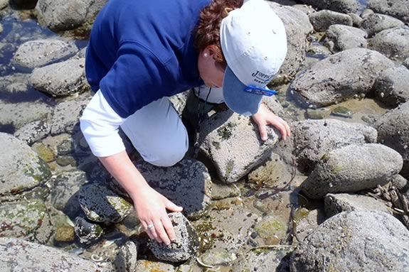 Have a tide pooling adventure at Sandy Point with Mass Audubon Naturalist! 