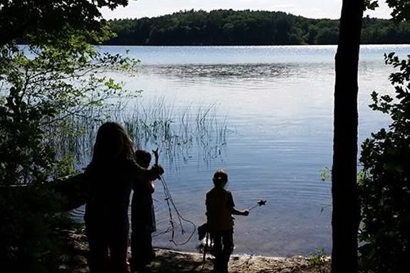 Join the Friends of Veasey and Groveland Garden Club for an all ages informational nature walk to learn about the native species at Veasey Park.