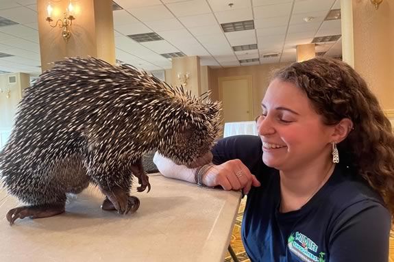 Join us in Children's Services at Sawyer Free Library for a Wildlife Encounter with a junior zookeeper!