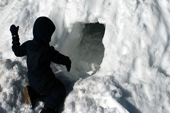 Build igloos and learn how to find winter homes for animals at IRWS's workshop