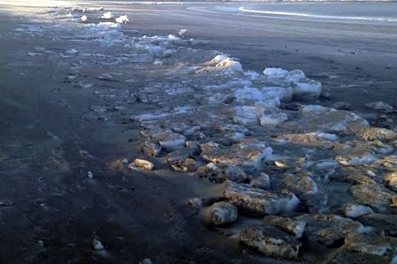 Winter Beavch Safari for all ages at Nahant Beach hosted by Massachusetts DCR 