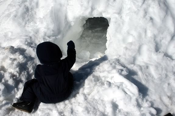 Join the fun and build an igloo on the Crane Estate's Grande Allee during February Vacation! 